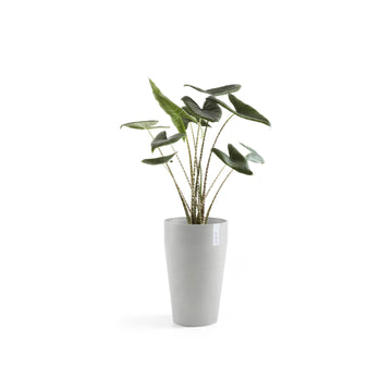 ECOPOTS© Sankara Mid High 55 cm